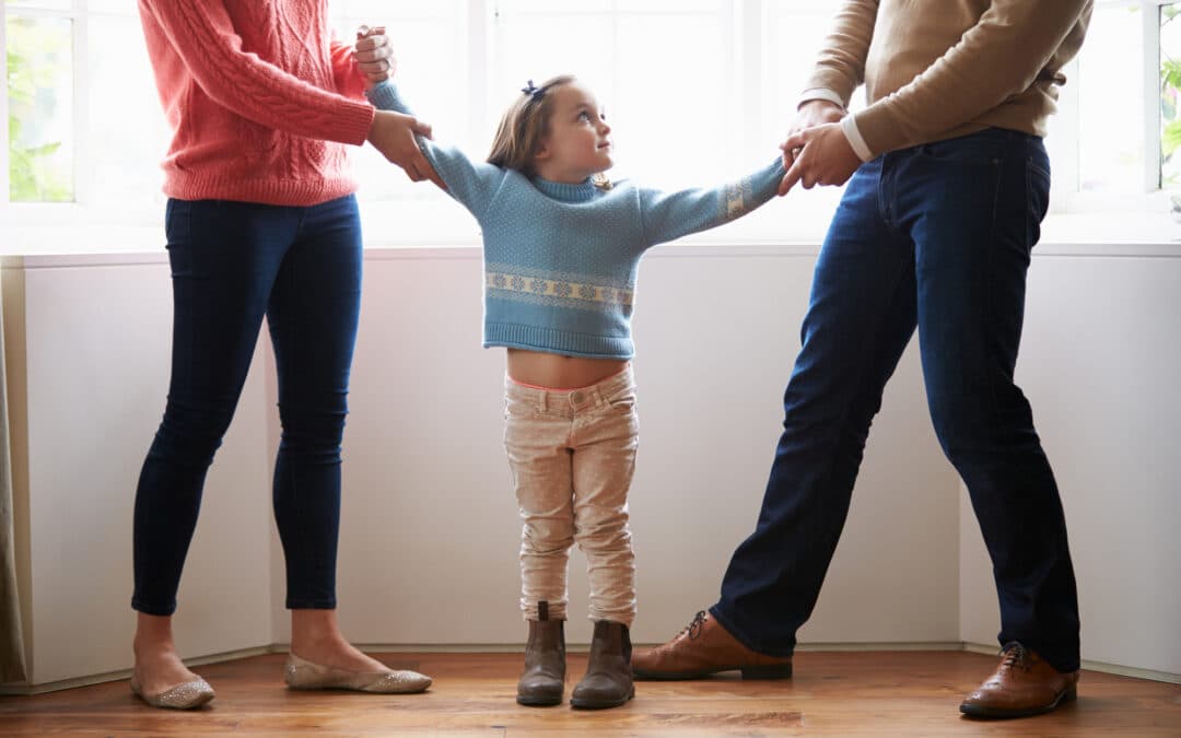 Emergency custody process in Arizona courtroom